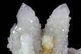 Cactus Quartz (Amethyst) Cluster - South Africa #80004-3